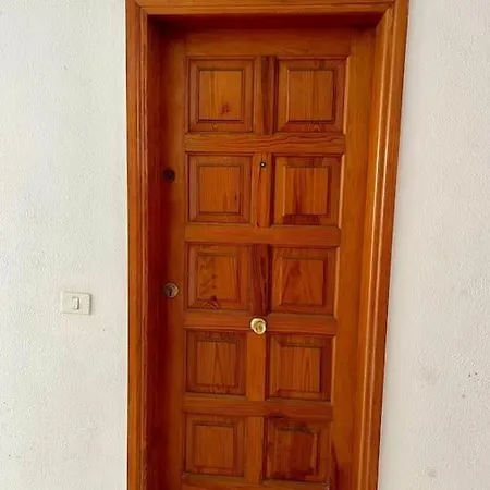 Detail Palmeras